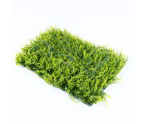 【植物墙(草坪)产品库】_价格/图片/厂家_植物墙(草坪)第7页 - 草坪产品库