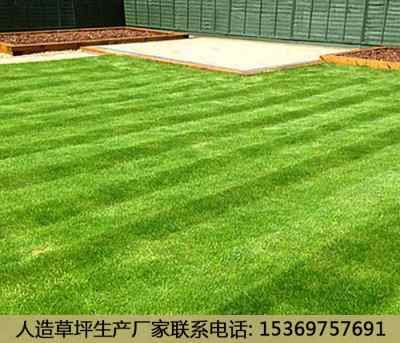 新闻 陆良塑胶人造草坪规格
